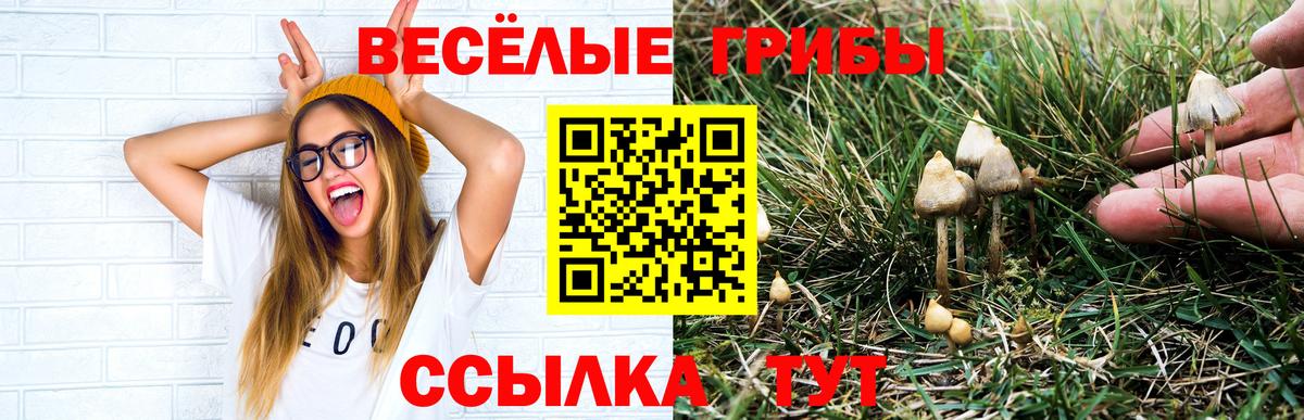 Галлюциногенные грибы мицелий Ступино